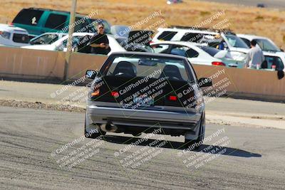 media/Feb-22-2025-Team Topak Racing (Sat) [[cb57a51a40]]/86 Party Brigade/Turns 13 and 14/